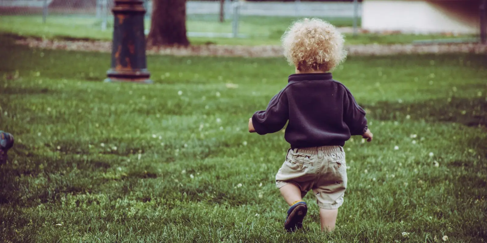 Peuter met blonde krulletjes loopt over grasveld